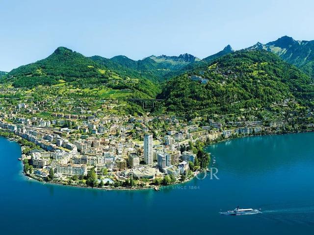 Immobilie kaufen in Chailly-Montreux, Waadt