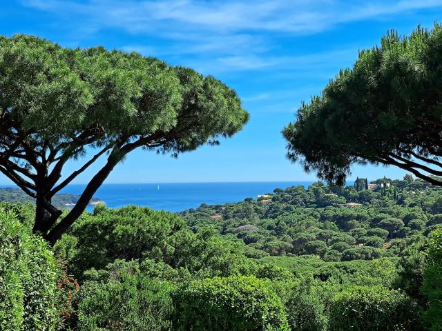 Maison vente à Arrondissement de Draguignan, La Croix-valmer