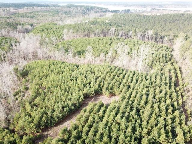 Land for sale in Zwolle, Louisiana