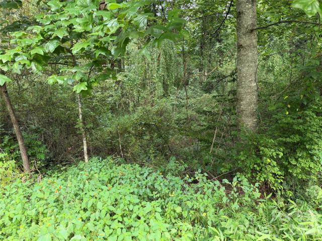 Land for sale in Deerwoods Estates, Brevard