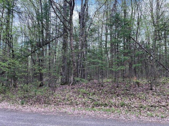 Land for sale in Vilas, Wisconsin
