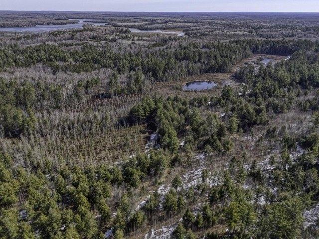 Land for sale in Vilas, Wisconsin