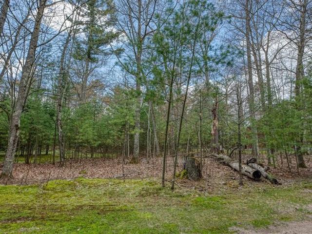 Land for sale in Vilas, Wisconsin