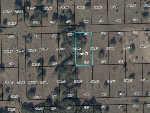 Land for sale in Suwannee, Florida
