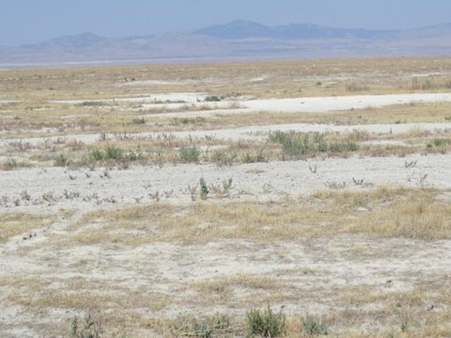 Land for sale in Box Elder, Utah