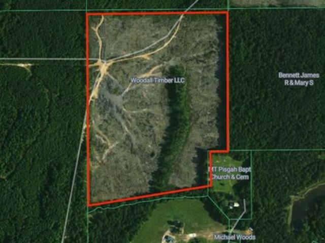 Land for sale in Duck Hill, Mississippi