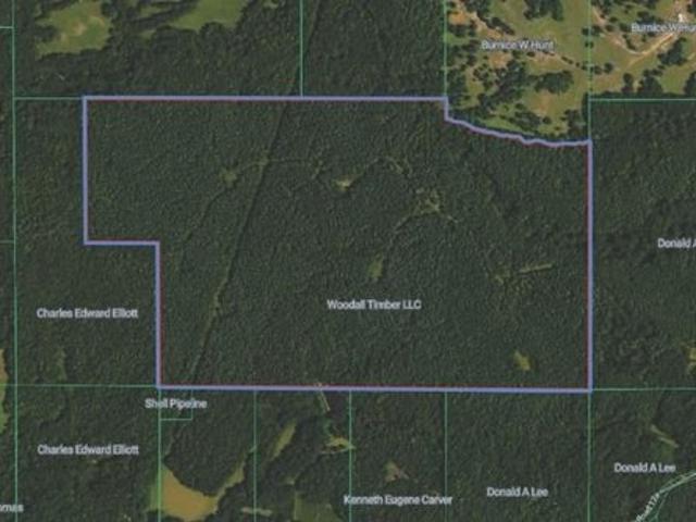 Land for sale in Carrollton, Mississippi
