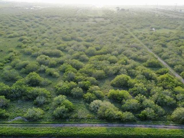 Land for sale in Cameron, Texas