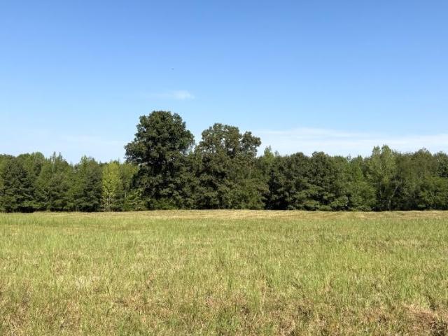 Land for sale in Ravenden, Lawrence County