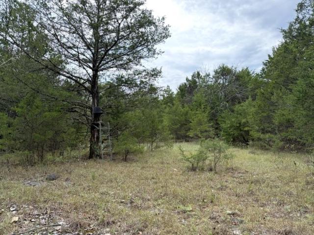 Land for sale in Ravenden, Lawrence County