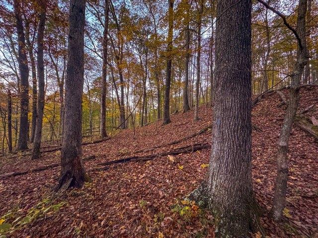 Land for sale in Le Roy, Minnesota