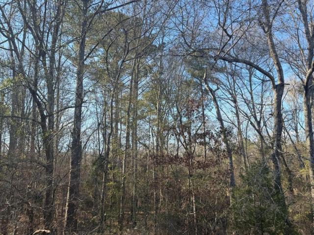 Property for sale in Pearl, Mississippi