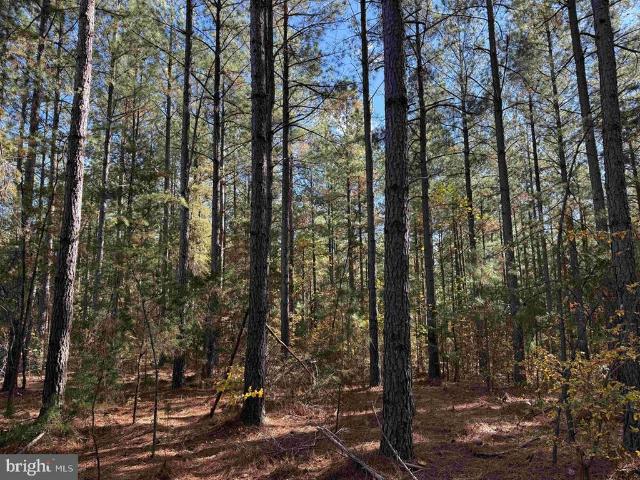 Land for sale in Virginia