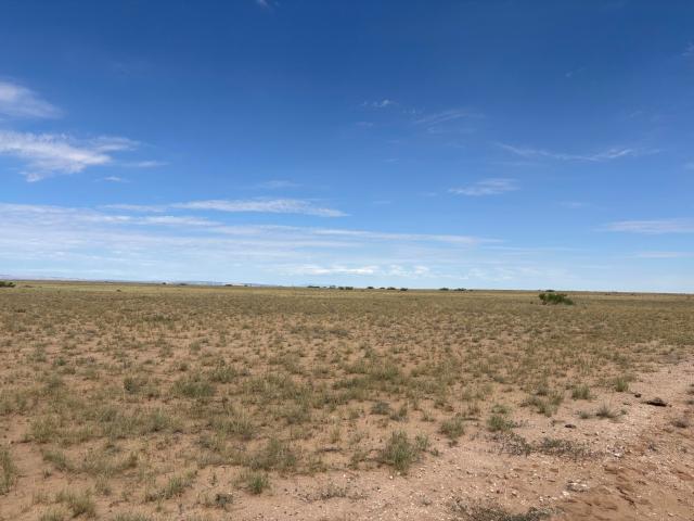 Land for sale in Belen, New Mexico