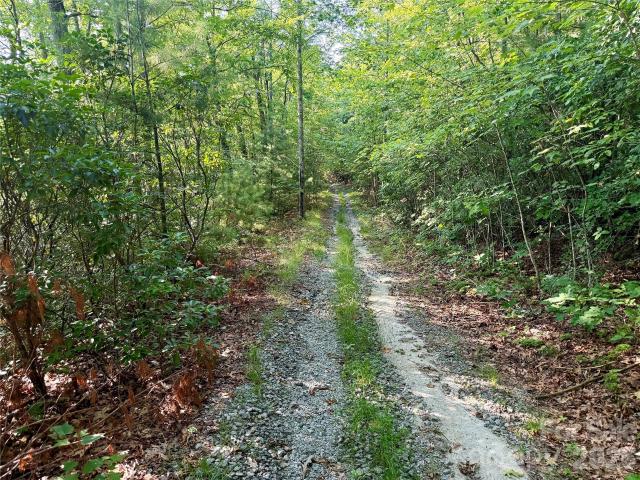Land for sale in Transylvania, North Carolina