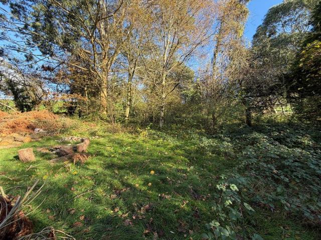 Land for sale in Budlake, Devon