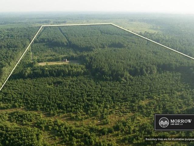 Land for sale in Plain Dealing, Bossier Parish