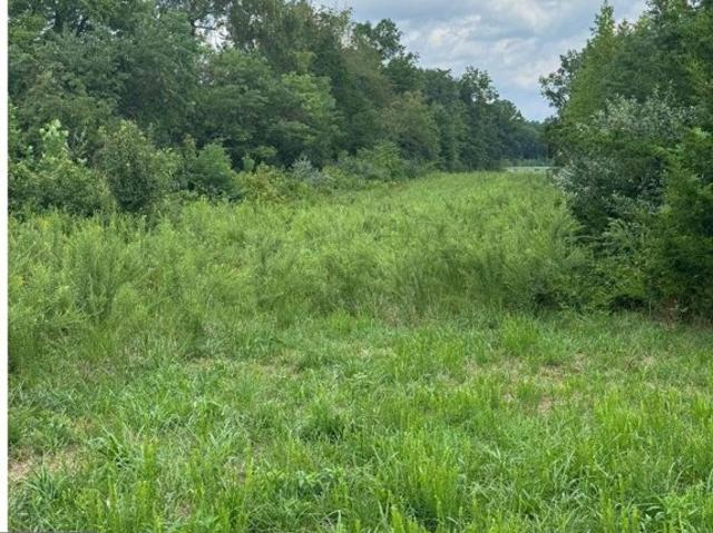Land for sale in Spotsylvania Land for sale in Spotsylvania