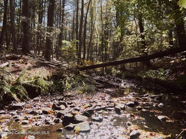 Land for sale in Connelly, New York