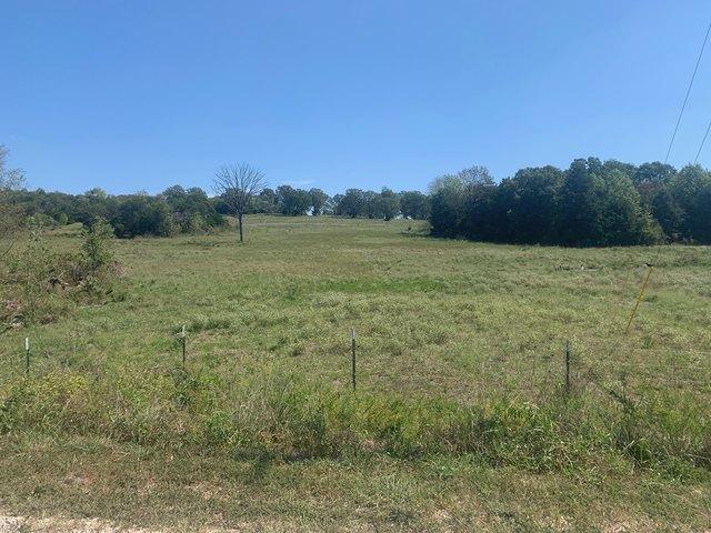 Land for sale in Gainesville, Missouri