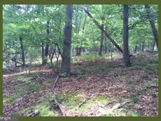Land for sale in Keyser, West Virginia