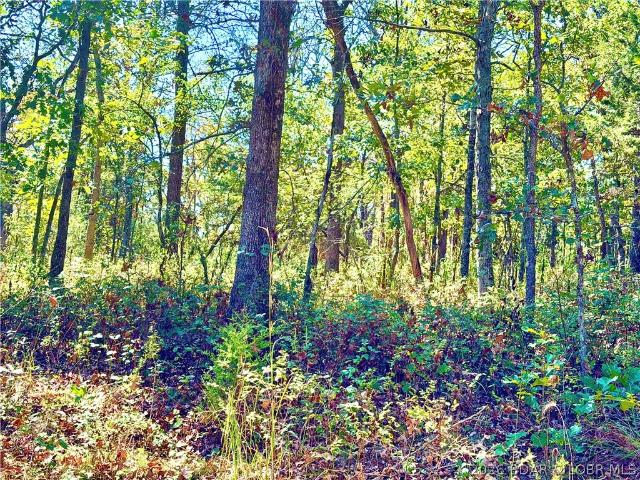 Land for sale in Benton County, Missouri