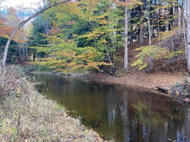 Land for sale in Cayuga, New York