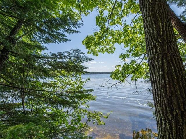 Land for sale in Vilas, Wisconsin
