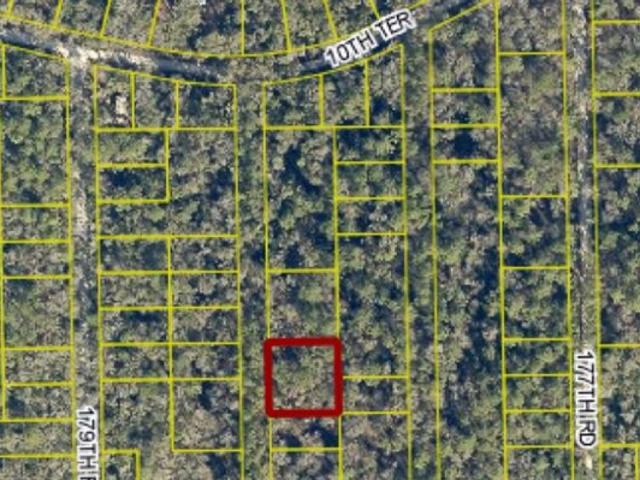 Land for sale in Live Oak
