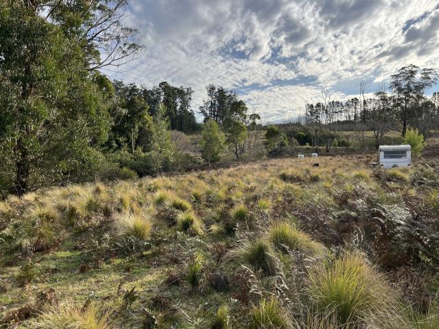 Property for sale in Sassafras, New South Wales