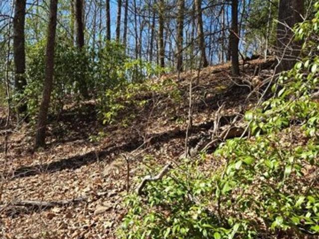 Land for sale in Blue Ridge Land for sale in Blue Ridge