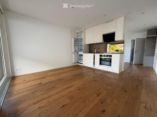 Apartment mieten in Surenweidpark, Oberkirch
