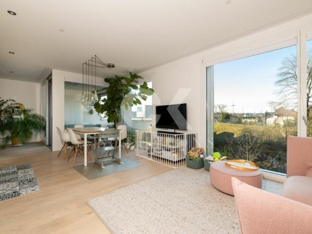 Etagenwohnung kaufen in Basel