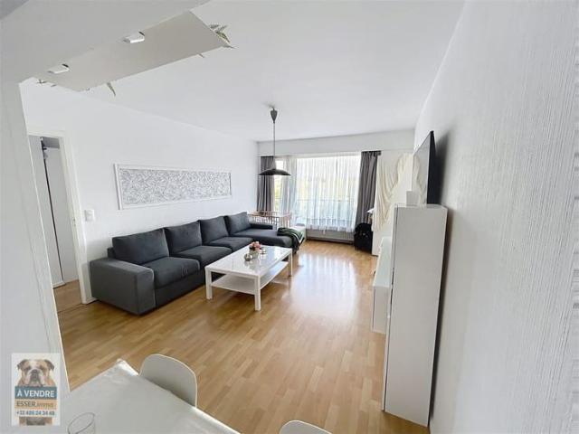 Kot location à Anderlecht, Bruxelles