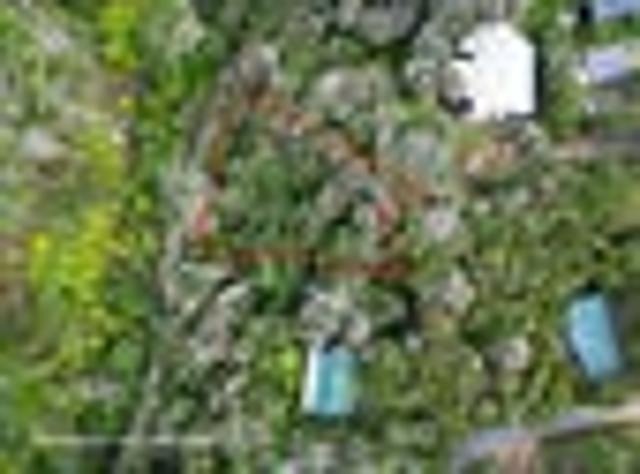 Land for sale in Kawau Island