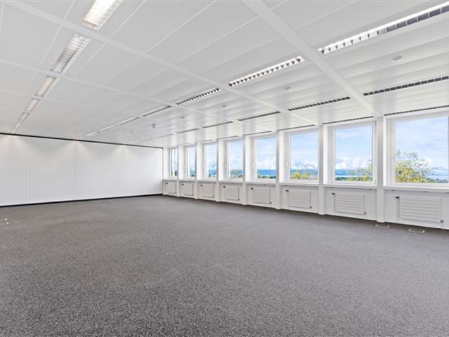 Büro mieten in Crissier, Waadt