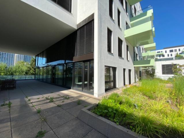 Büro mieten in Opfikon, Zürich