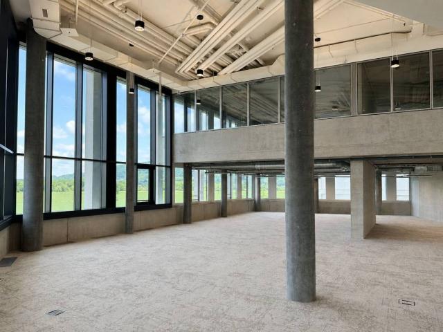 Büro kaufen in Aesch (ZH), Zürich