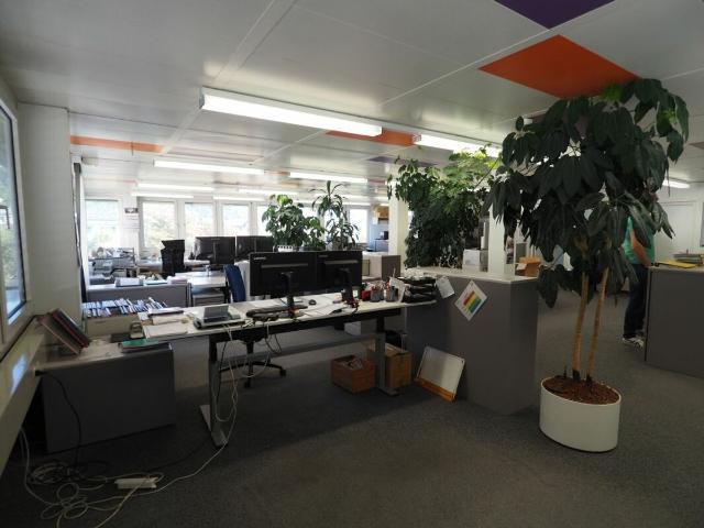 Büro kaufen in Au (SG), St. Gallen