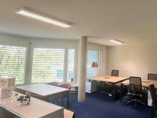 Büro kaufen in Carouge (GE)