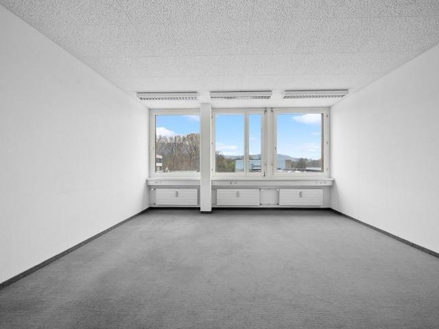 Büro kaufen in Dietikon, Zürich