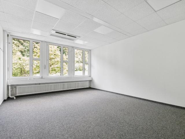 Büro kaufen in Dietikon, Zürich