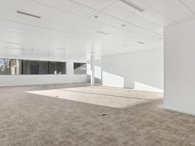 Büro kaufen