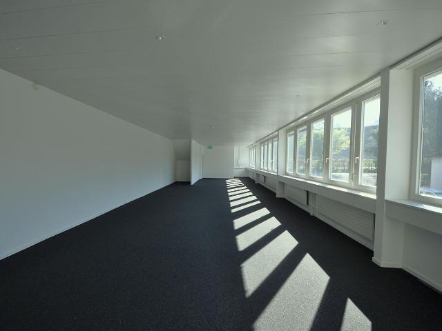 Büro kaufen in Füllinsdorf, Basel-Landschaft