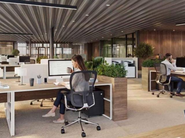 Büro kaufen in Conches