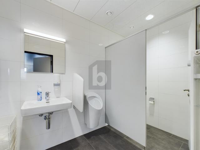 Büro kaufen in Härkingen, Solothurn