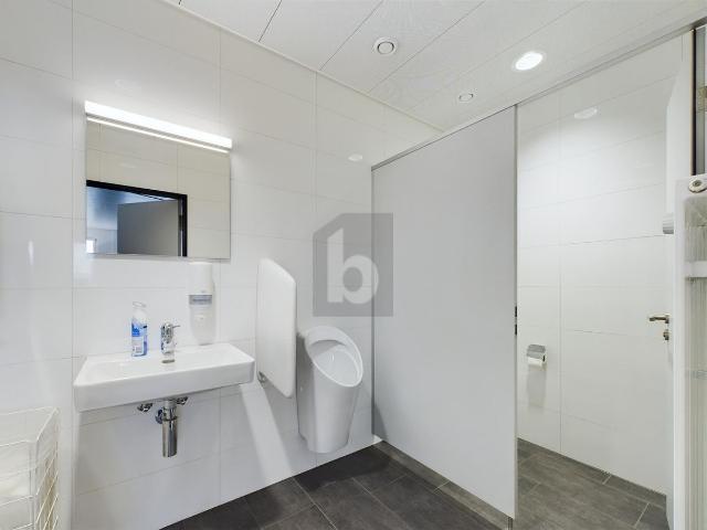 Büro kaufen