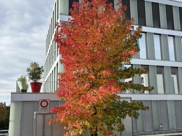 Büro kaufen in Cheseaux-Lausanne, Waadt
