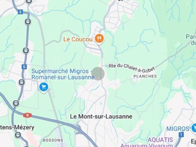 Büro kaufen in Mont-sur-Lausanne, Waadt