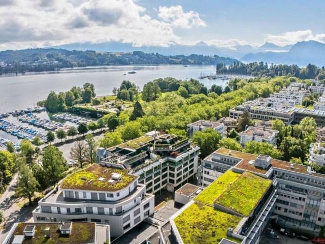 Büro kaufen in Lü